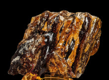 Load image into Gallery viewer, PREMIUM COLLECTION - Natural Amber bracelet